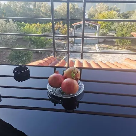 Aidipsos Villa *