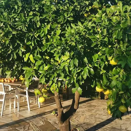 Aidipsos Villa Agios Georgios Lichados (Istiaia-Aidipsos)